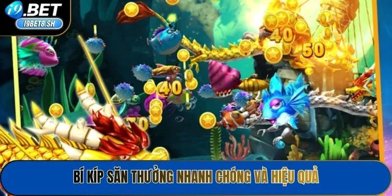 Bí kíp săn thưởng nhanh chóng và hiệu quả