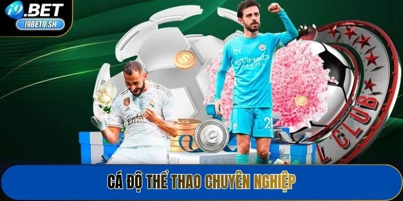 Cá độ thể thao chuyên nghiệp