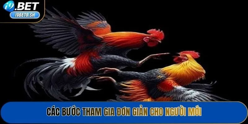 Các bước tham gia đơn giản cho người mới