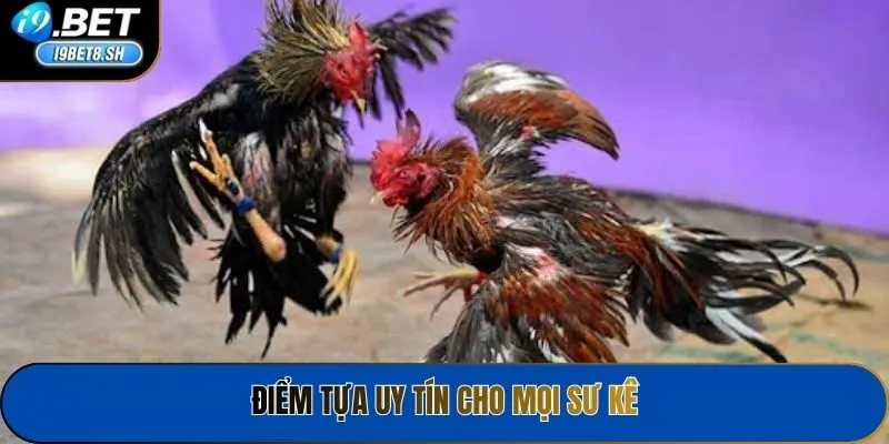 Điểm tựa uy tín cho mọi sư kê