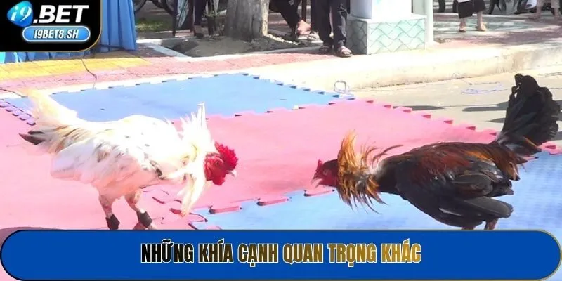 Những khía cạnh quan trọng khác